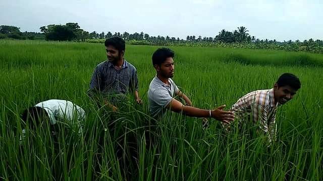 Vanavarayar_Institute_of_Agriculture